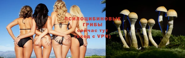 молекула духа Абдулино