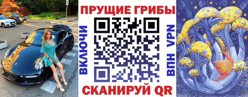дарнет шоп  Приволжск  Псилоцибиновые грибы GOLDEN TEACHER 